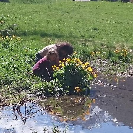 Apart Garni Astrada Kappl  Esterno foto