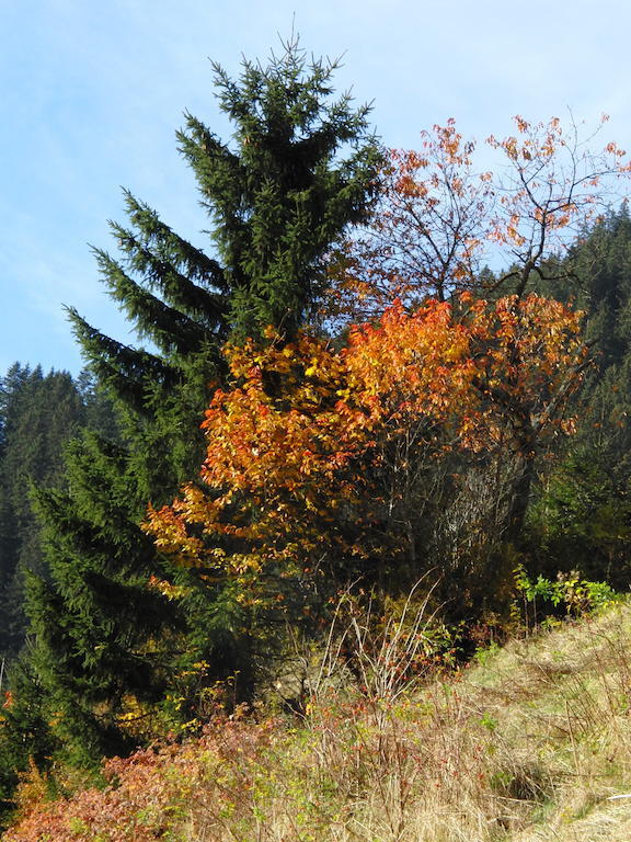 Apart Garni Astrada Kappl  Esterno foto
